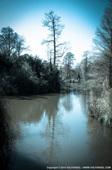 Volfangel_2014-03-09 San Mc Freekies_0027