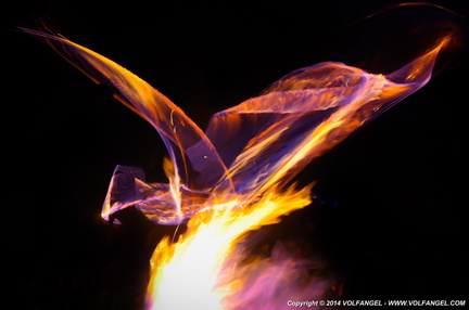Volfangel_2014-02-16 Jéremy flammes_0470