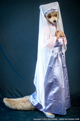 Mangasdax 2015