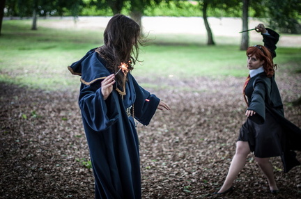 Animasia haillan 2014