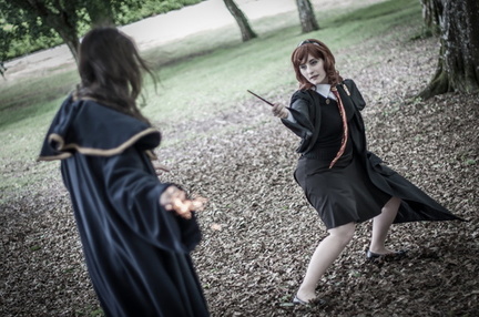 Animasia haillan 2014