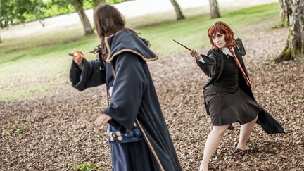 Animasia haillan 2014