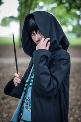 Animasia haillan 2014