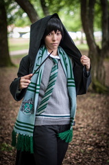 Animasia haillan 2014