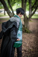 Animasia haillan 2014