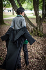 Animasia haillan 2014