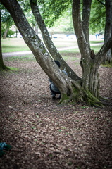 Animasia haillan 2014