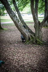 Animasia haillan 2014