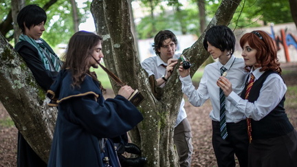 Animasia haillan 2014