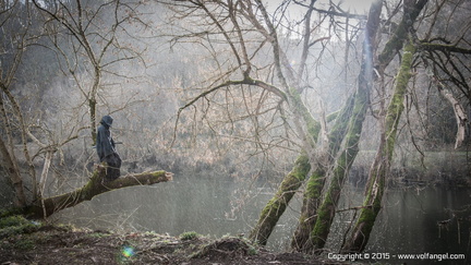 Volfangel 2015-02-14 Jonh Macmillan 000261