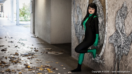 Volfangel 31102015 0289