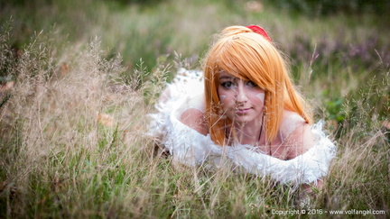 Volfangel 17102015 0307